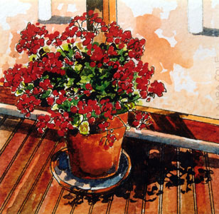 Geraniums on the Pub Deck, New Norcia III