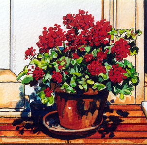 Geraniums on the Pub Deck, New Norcia IV