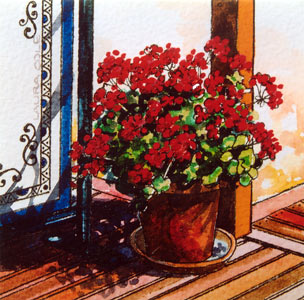 Geraniums on the Pub Deck, New Norcia VI