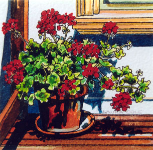 Geraniums on the Pub Deck, New Norcia V