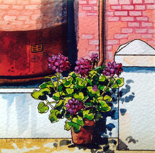 Geraniums at St Gertrude's, New Norcia II