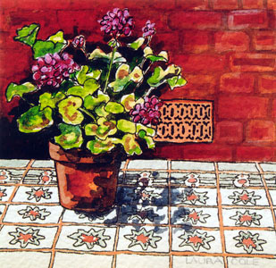 Geraniums at St Gertrude's, New Norcia III