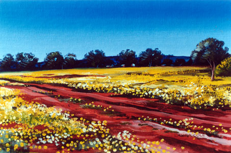 Near the Shearers' Quarters, Ninghan Station