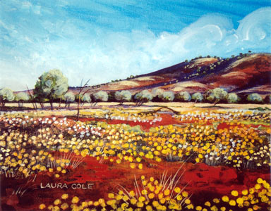 Wathergabbing Hill, Ninghan Station