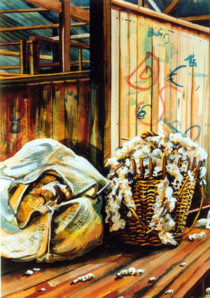 Mt Narryer Shearing Shed II