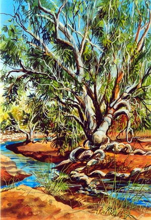 Afternoon Flight of the White Cockatoos in the Gascoyne River Bed (Bidgemia Station ) I