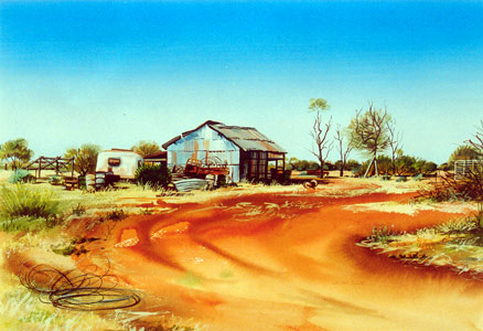 Galah in Tree Near the Old Shed, Boolardy Station