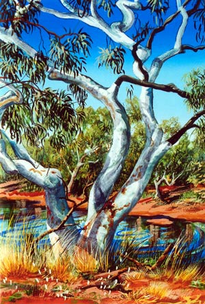 Natta Pool, Boolardy Station