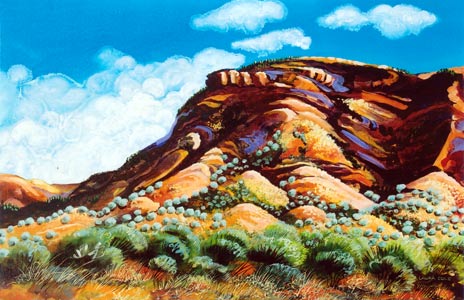 Mt Nameless, Tom Price