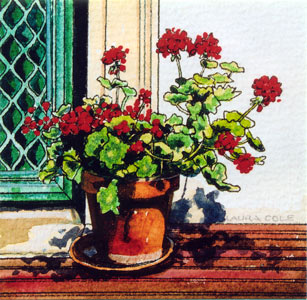 Geraniums on the Pub Deck, New Norcia I